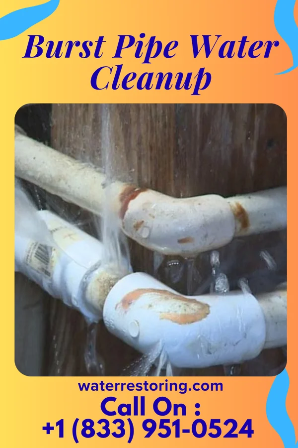 Burst Pipe Water Cleanup in Southlake, TX